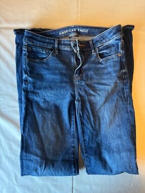 American Eagle Outfitters Women's Blue Skinny Jeans
